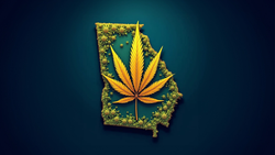 THCA in Georgia: The Lowdown on the Law and Your Options