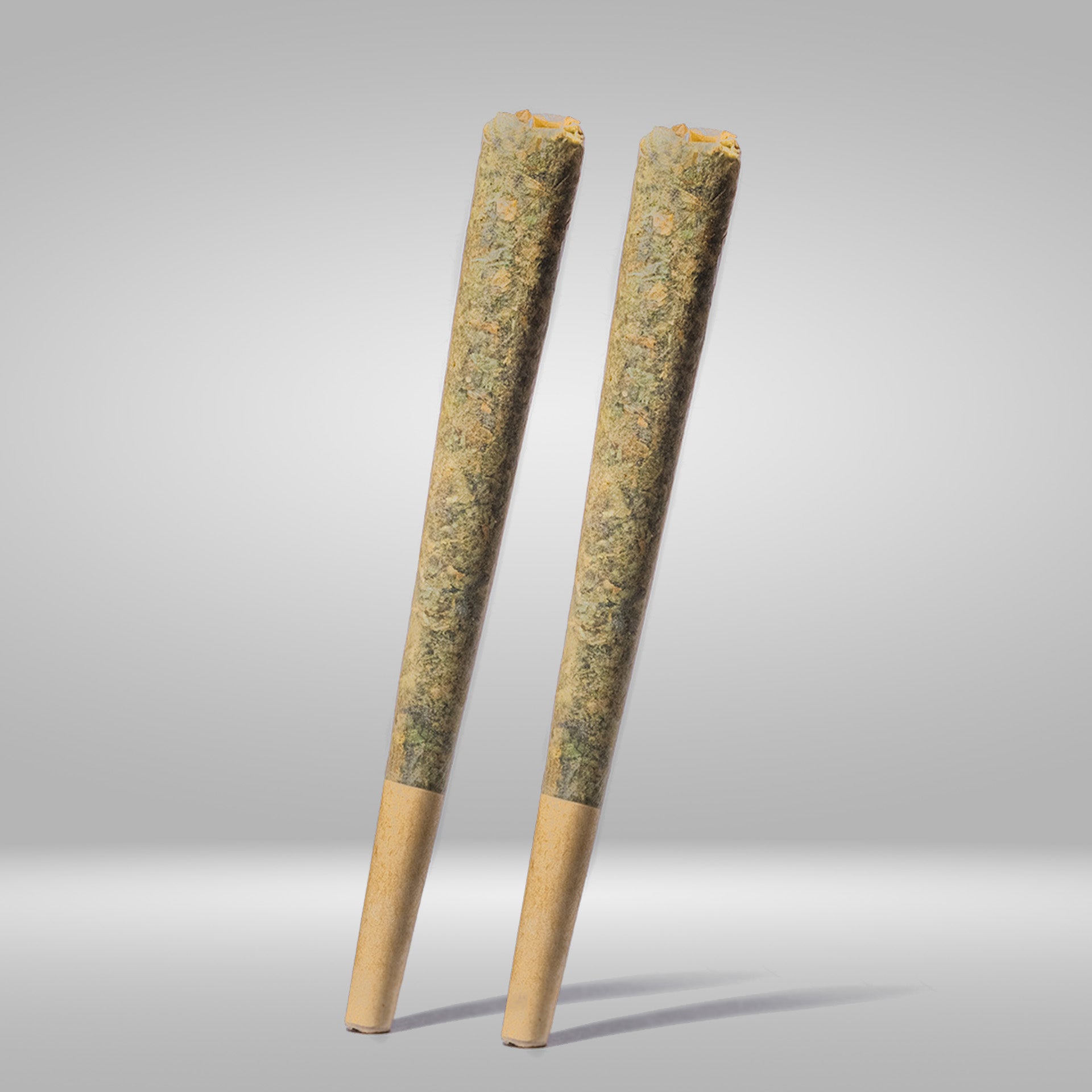 Canabzy Preroll 2ct - Bee Saucy