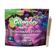 Canabzy Mini Pre Rolls  – 500mg – Grandaddy Purple