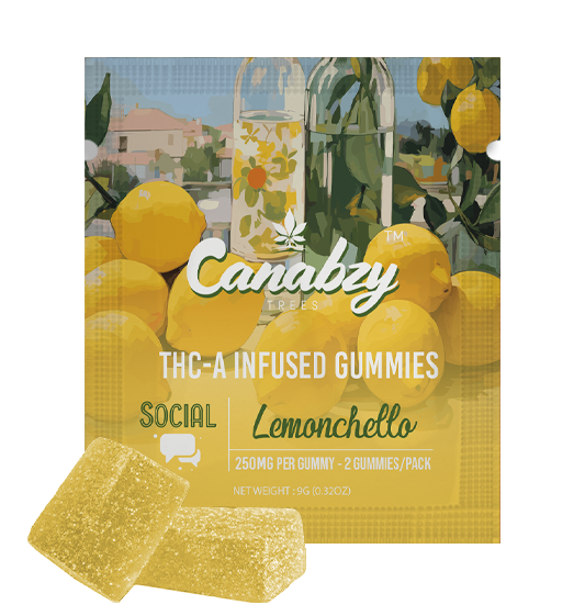 Canabzy THC-A Infused Gummies 500mg 2ct - Lemonchello