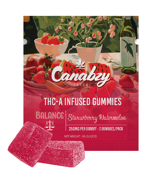 Canabzy THC-A Infused Gummies 500mg 2ct - Strawberry Watermelon