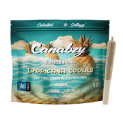 Canabzy Mini Pre Rolls  – 500mg – Tropicana Cookies