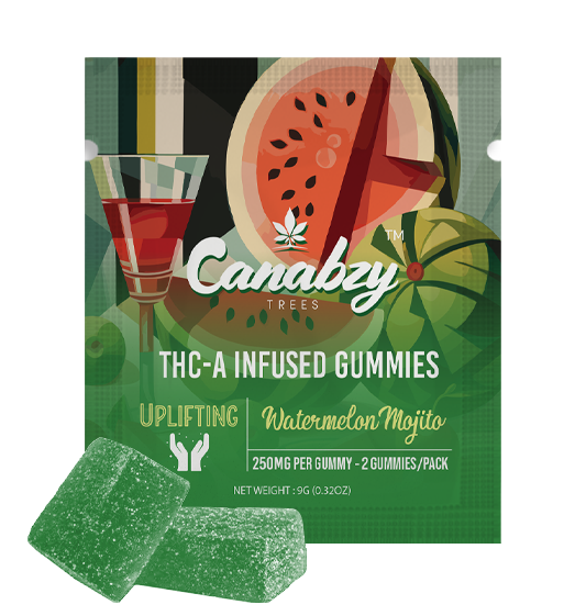 Canabzy THC-A Infused Gummies 500mg 2ct - Watermelon Mojito