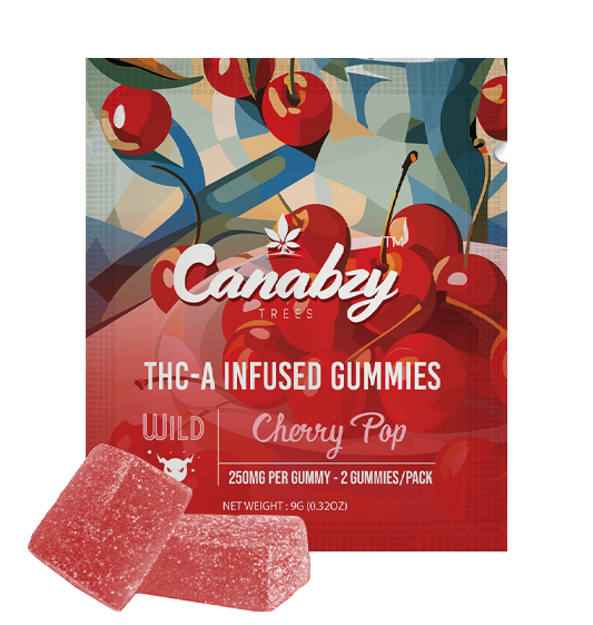 Canabzy THC-A Infused Gummies 500mg 2ct - Cherry Pop