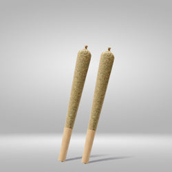 Canabzy Mini Pre Rolls  – 500mg – Sour Tangie